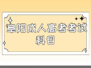 阜陽成人高考考試科目