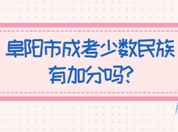 阜陽市成考少數民族有加分嗎